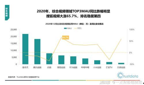今日关注中山爆料视频最新,视频揭露惊人真相，引发社会热议