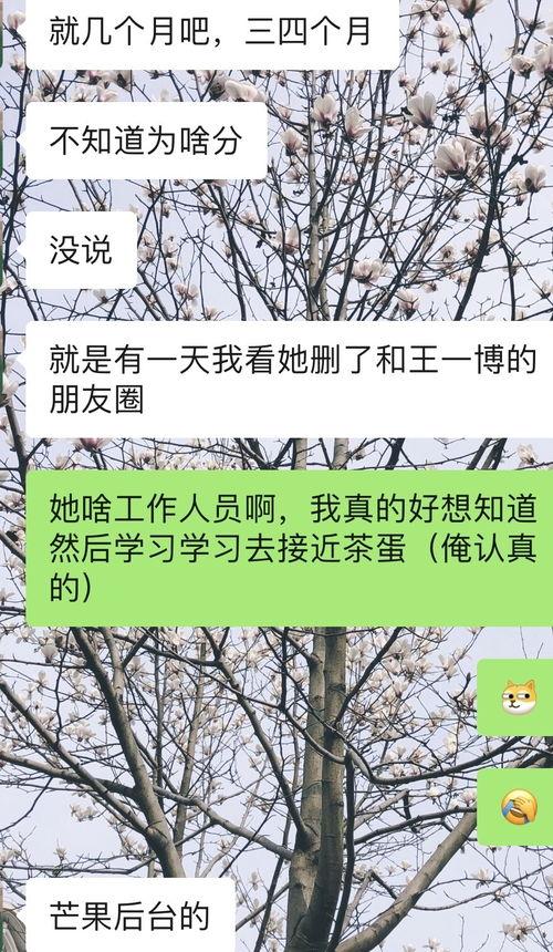 老福特圈内人爆料是真的吗,真相还是谣言？