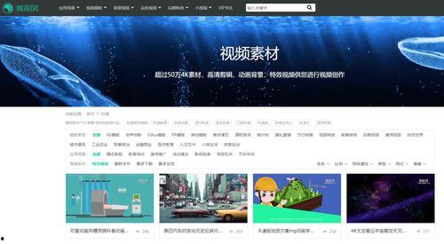 新闻爆料类视频素材网站,揭秘真相背后的秘密