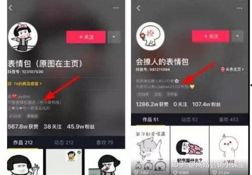 抖音新闻爆料怎么变现,揭秘短视频时代的财富密码