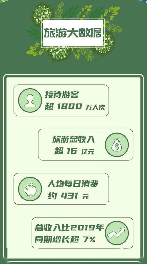 赛车手游最新爆料视频下载,赛车手游全新版本惊艳亮相，速度与激情再升级！