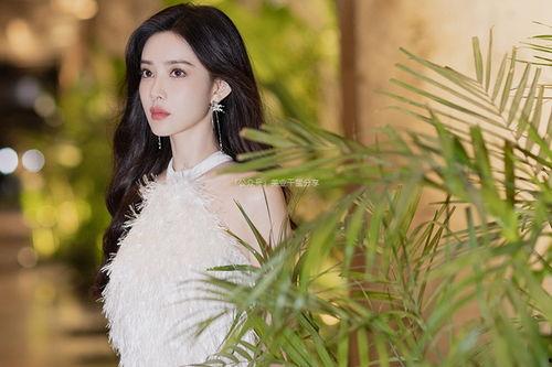 娱乐爆料孟子义视频合集,揭秘明星幕后生活点滴