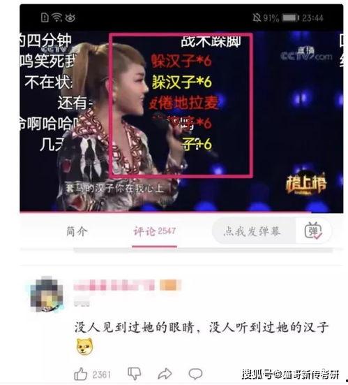 草神爆料专属歌曲视频,探寻神秘旋律背后的故事