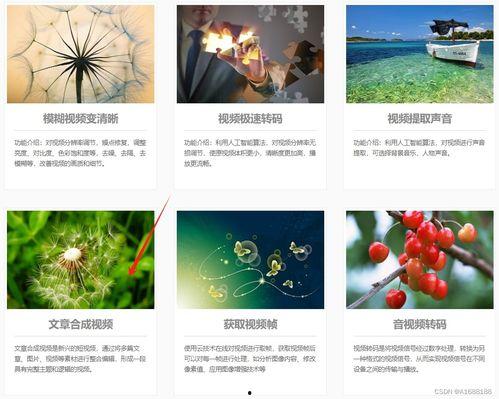 怎么制作爆料小说视频呢,揭秘爆料小说视频制作全攻略