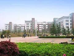 南昌工学院爆料事件视频,视频揭露校园乱象引发关注