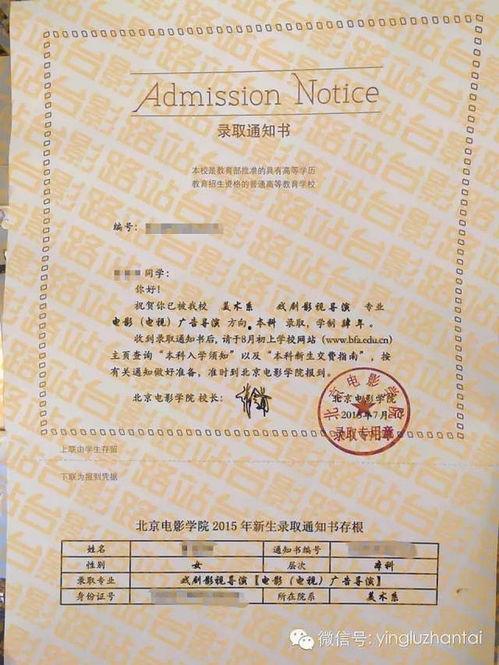 电影 录取通知在线观看,梦想起航的青春篇章