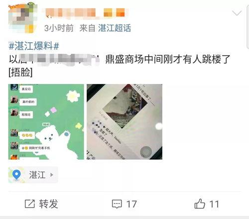 广东湛江今日爆料,揭秘湛江最新热点事件