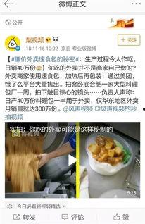 料理猫爆料视频大全集最新,揭秘美食背后的秘密与技巧