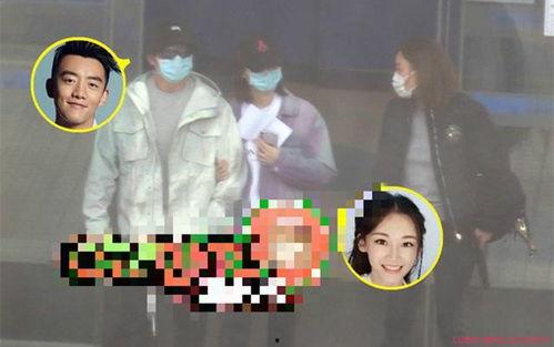 苗苗郑恺最新爆料,揭秘甜蜜爱情背后的故事