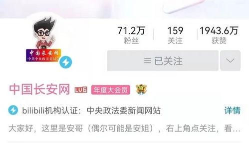 如何精准爆料网红视频呢,揭秘网红视频精准爆料技巧