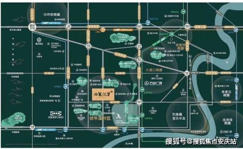 黄埔区新闻爆料热线,见证城市脉搏，倾听民声心声