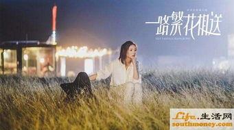 一路繁花相送在线观看,浪漫邂逅，情感旅程的温暖演绎