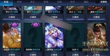 王者优化皮肤最新爆料,揭秘最新皮肤优化爆料，视觉盛宴即将来袭！