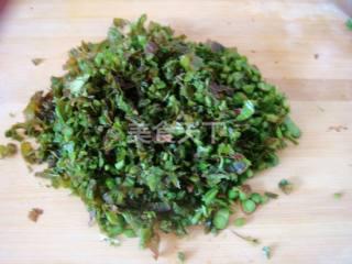 空山菜摘芽在线观看,探寻自然与生活的和谐共鸣