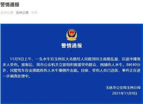 广西玉林新闻最新爆料,最新爆料揭示惊人内幕，事件真相即将揭晓