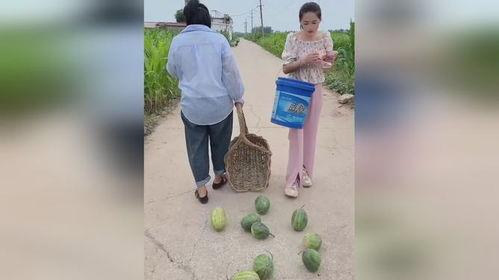免费吃瓜不收费违法吗,不收费也可能违法的惊人真相