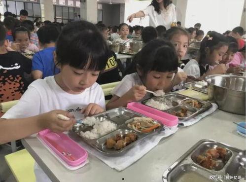 网友爆料食堂异物视频,食堂惊现异物！网友爆料视频引发关注