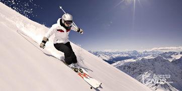 爆料滑雪视频大全最新版,揭秘爆料视频大全最新版精彩瞬间