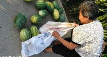 滨州吃瓜最新事件爆料,揭秘背后惊人真相！