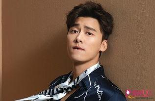 最新爆料李易峰视频播放,引发网友热议！