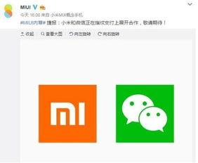 山东吃瓜群微信免费下载,免费下载，畅享微信社交新体验