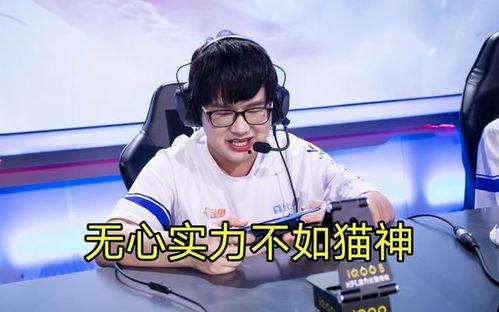 猫神直播间爆料视频下载,揭秘热门视频幕后故事