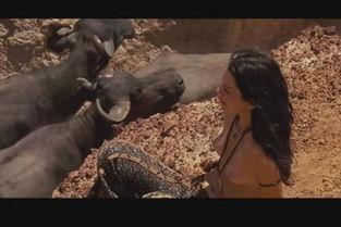 在线观看伦理三级古代,揭秘古代伦理与三级观影的冲突与融合