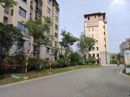 宿州院子事故爆料视频播放,悲剧现场令人震惊