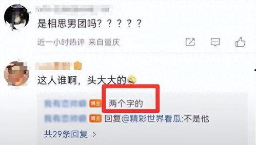 娱乐圈爆料公众号推荐,揭秘明星背后的惊人真相！
