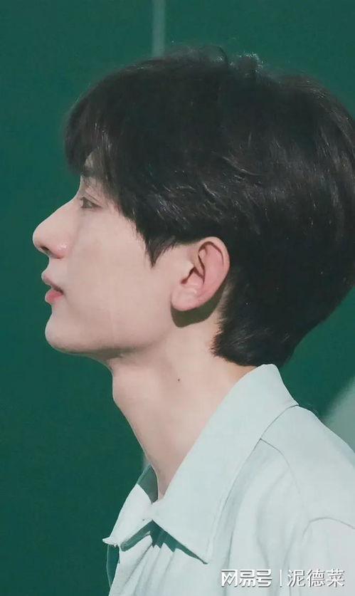 成毅本人爆料视频在线观看,揭秘爆笑爆料视频幕后花絮