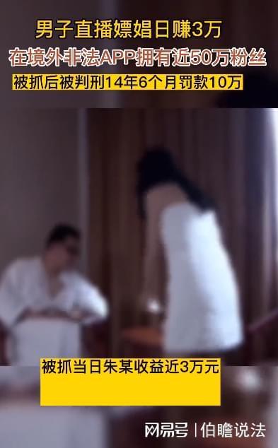 娼手机在线观看,揭秘网络娼行业的隐秘世界