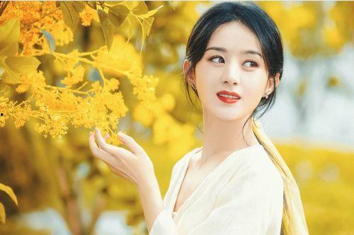 最新爆料顶流女星,美貌与才华并存的璀璨之星