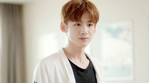 娱乐大晨姐爆料白敬亭,娱乐大晨姐独家爆料引热议