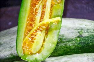 山西太原网红吃瓜,揭秘山西美食圈的热辣故事