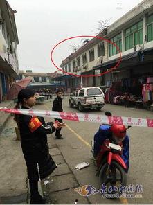 乐山最新爆料新闻事件,揭秘背后惊人真相