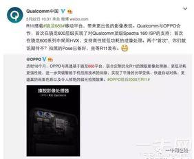 内鬼错误爆料视频在线观看,独家视频带你直击事件现场