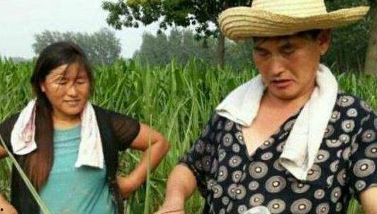 网友爆料老农民视频大全,老农民视频大全背后的真实故事