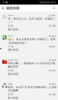 文儿被爆料的视频大全,揭秘网络红人幕后真相