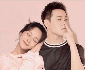 圈内爆料杨紫的八卦,圈内爆料背后的真实故事