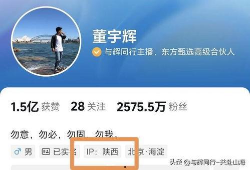 西安老刘爆料视频大全集,揭秘城市生活百态