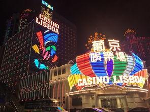 澳门夜游爆料视频,璀璨灯火下的繁华盛景