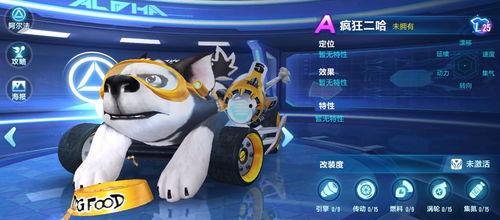 飞车手游最新宠物爆料信息,神秘力量觉醒，速度与激情再升级！