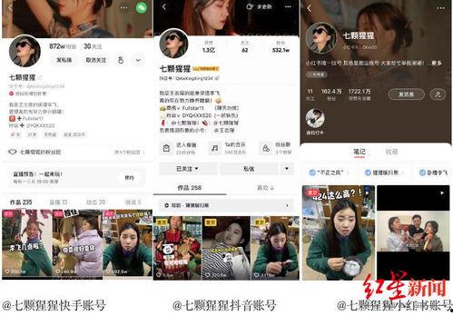 爆料博主直播视频下载,博主爆料视频下载全解析