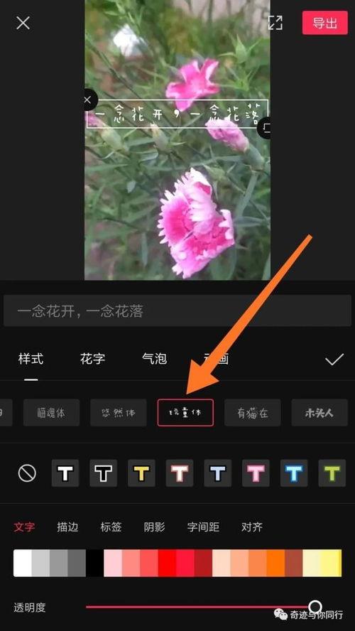 剪映爆料视频字幕