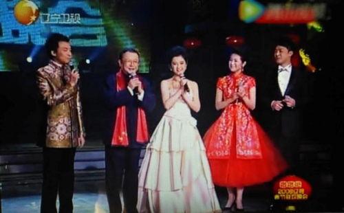 辽宁春晚在线观看,精彩纷呈的视听盛宴