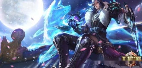 王者博主爆料视频大全集,揭秘游戏幕后精彩瞬间