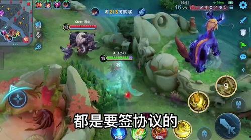 王者博主爆料视频大全集,揭秘游戏幕后精彩瞬间