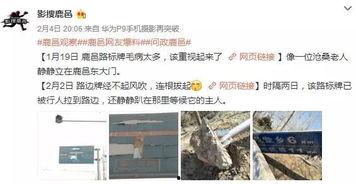 鹿邑最新爆料,揭秘神秘事件背后的真相