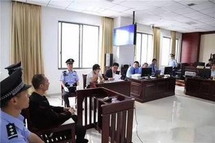 咸阳学校爆料案件最新,揭开校园安全与监管的隐秘面纱