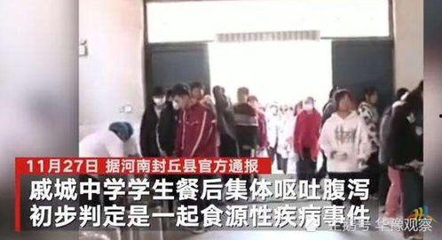 河南高中生爆料新闻事件,揭秘校园内幕事件